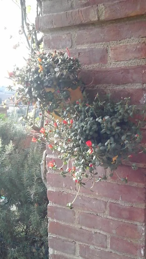 Appartamento Con Vista Panoramica ピエンツァ