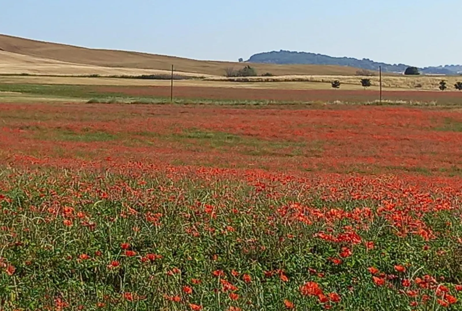 Appartamento Con Vista Panoramica ピエンツァ イタリア